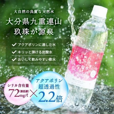 強炭酸水 九州 天然水 シリカ 500ml 24本