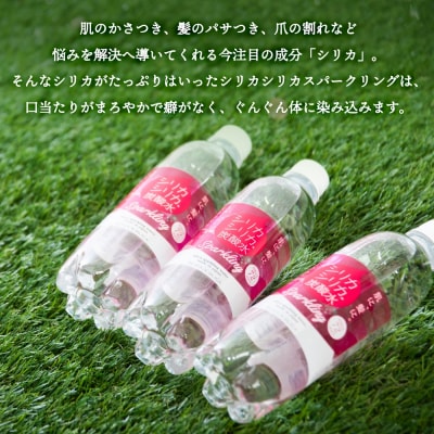 強炭酸水 九州 天然水 シリカ 500ml 24本