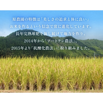 令和7年産 原さんちの玄米4kg にこまる