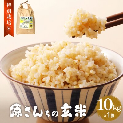 令和7年産 原さんちの玄米 10kg にこまる 有機質肥料 特別栽培米 原農園