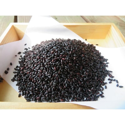 紅白甘酒セット&黒米( ノンアルコール ) 玖珠町産 黒米 玄米 もち米 甘酒 あま酒 手作業