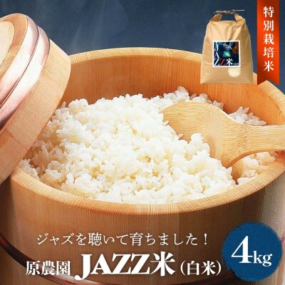 令和7年産 原農園 JAZZ米 (白米)  4kg ヒノヒカリ