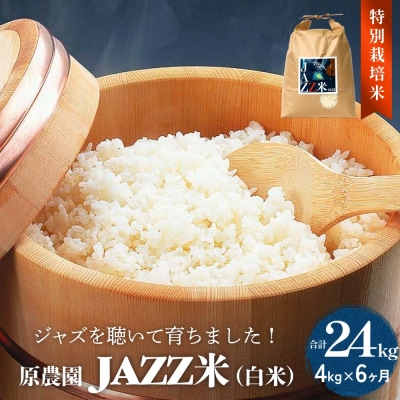 令和7年産 原農園 JAZZ米 白米 4kg 6回定期便 ヒノヒカリ