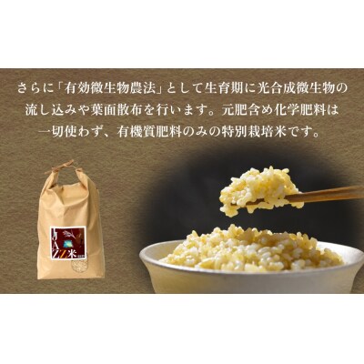令和7年産 原農園 JAZZ米 (玄米) 4kg 3回定期便 ヒノヒカリ