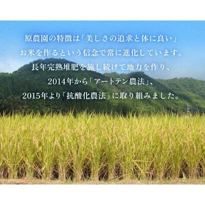 令和7年産 原さんちのお米 10kg ヒノヒカリ 特別栽培米 原農園 有機栽培