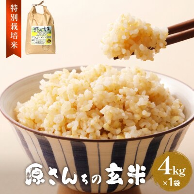 令和7年産 原さんちの玄米4kg ヒノヒカリ