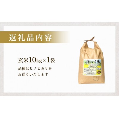 令和7年産 原さんちの玄米 10kg ヒノヒカリ 有機質肥料 特別栽培米 原農園