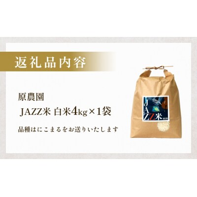 令和7年産 原農園 JAZZ米 (白米)  4kg にこまる
