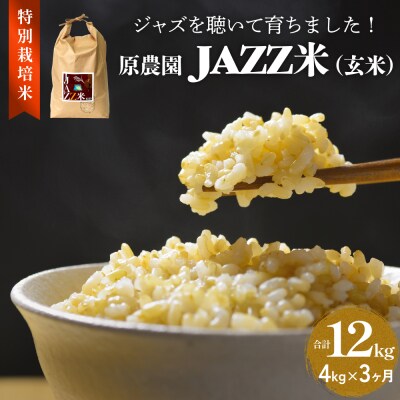 令和7年産 原農園 JAZZ米 (玄米) 4kg 3回定期便 にこまる