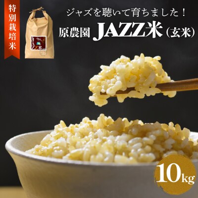 令和7年産 原農園 JAZZ米 (玄米) 10kg にこまる JAZZ米 JAZZ