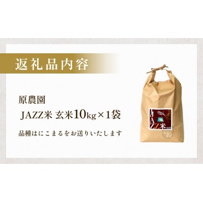 令和7年産 原農園 JAZZ米 (玄米) 10kg にこまる JAZZ米 JAZZ