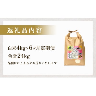 令和7年産 原さんちのお米 4kg 6回定期便 にこまる
