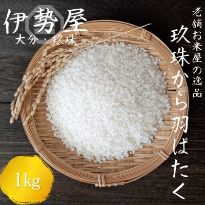 【10月下旬頃より順次発送】 令和7年産 玖珠から羽ばたく 精白米 1kg入