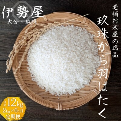 【伊勢屋オリジナル】【令和7年産　新米】【精白米 2kg入】【玖珠から羽ばたく】6ヶ月 定期便