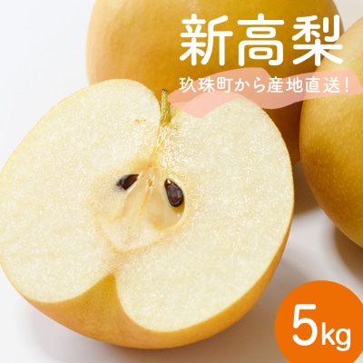 【先行受付】新高 5kg(なかしま農園)