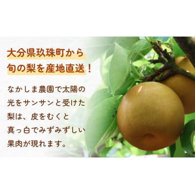 【先行受付】新高 5kg(なかしま農園)