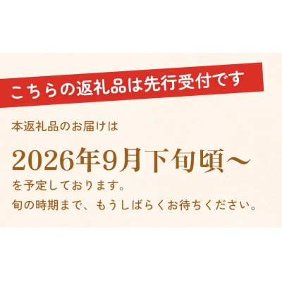 【先行受付】新高 5kg(なかしま農園)