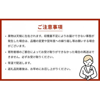 【先行受付】新高 5kg(なかしま農園)