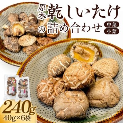 原木乾しいたけの詰め合わせ(かわしま農園)240g  大分県 玖珠町 原木 乾しいたけ 乾燥しいたけ