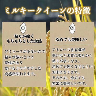 栽培期間中農薬・化学肥料不使用 発芽玄米 (大分県産ミルキークイーン) 1.5kg×1袋 無洗米