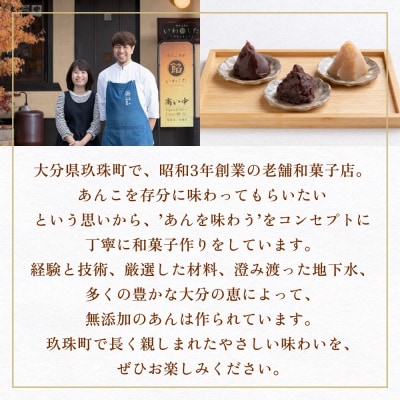 あんこ菓子いわした あんこペースト 1kg 2袋(計2kg) こし 餡子 こし餡 あんこ ペースト