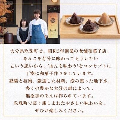 岩下製餡所 あんこペースト 1kg 2袋(計2kg) しろ 餡子 白餡 あんこ ペースト