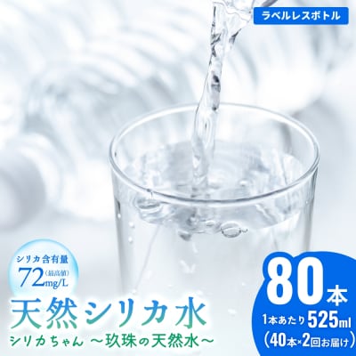 �y2�񂨓͂�(1�E3��)�z�V���J�V�R�� 525ml×40�{ �v80�{ (�V���J�����)���x�����X ��