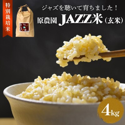 【令和8年産】原農園 JAZZ米 玄米 4kg ひのひかり 米 お米 ジャズ米 ジャズ
