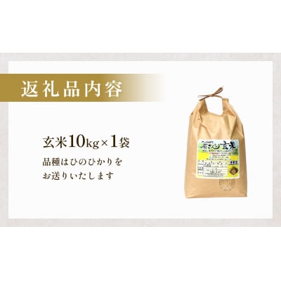 【令和8年産米先行受付】原さんちのお米 玄米 10kg ひのひかり 米 お米 こめ コメ