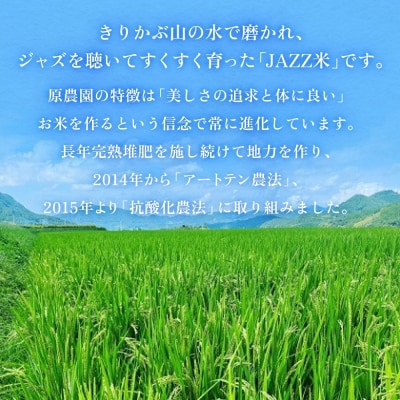 【令和8年産米先行受付】原農園 JAZZ米 白米 4kg にこまる 米 お米 こめ コメ ご飯