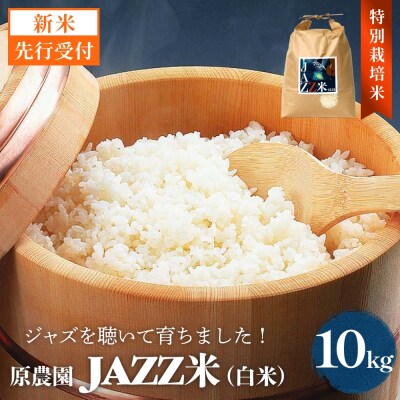 【令和8年産米先行受付】原農園 JAZZ米 白米 10kg にこまる 米 お米 こめ コメ ご飯