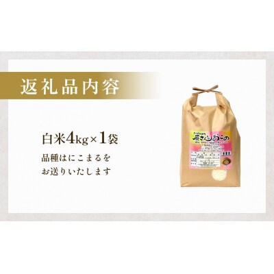 【令和8年産米先行受付】原さんちのお米 白米 4kg にこまる 米 お米 こめ コメ ご飯