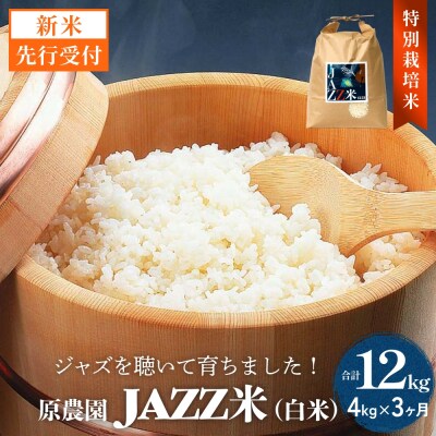 【令和8年産米先行受付】原農園 JAZZ米 白米 4kg ひとめぼれ 3回定期便 米 お米