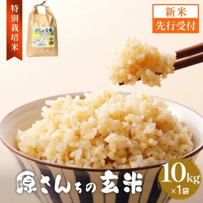 【令和8年産米先行受付】原さんちのお米 玄米 10kg にこまる 米 お米 こめ コメ ご飯