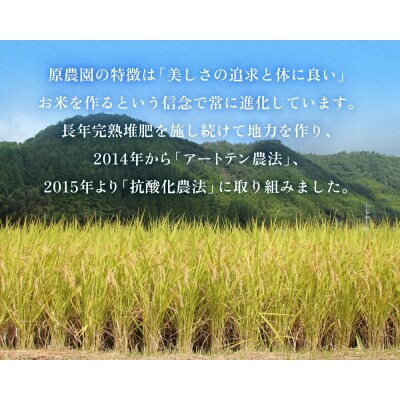 【令和8年産米先行受付】原さんちのお米 玄米 10kg にこまる 米 お米 こめ コメ ご飯
