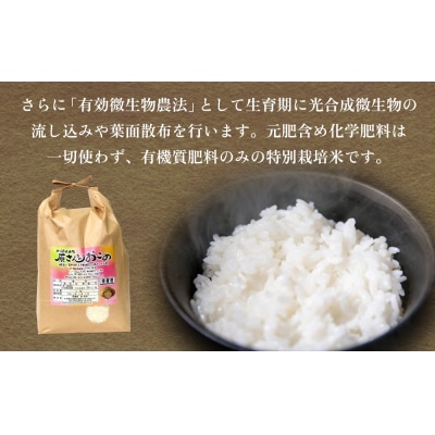 【令和8年産米先行受付】原さんちのお米 白米 4kg にこまる 6回定期便 米 お米 こめ