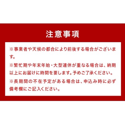 酵素発芽玄米「健やかごはん」50個入 素材にこだわり玖珠米ひとめぼれを使用 玄米 米 ひとめぼれ