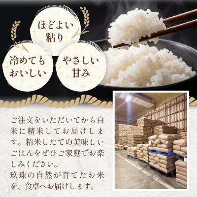 【令和8年度産】 米 ひとめぼれ 白米 5kg × 3回 毎月 定期便 こめ コメ お米
