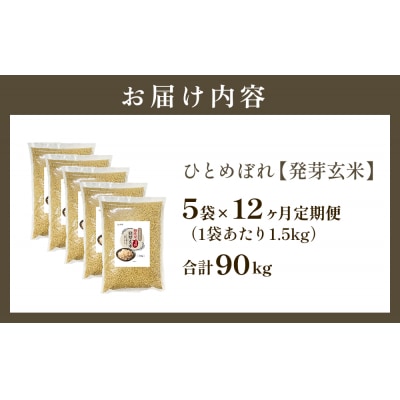 特A ひとめぼれ 米 残留農薬ゼロ 発芽玄米 1.5kg × 5袋 12ヶ月 毎月定期便 無洗米