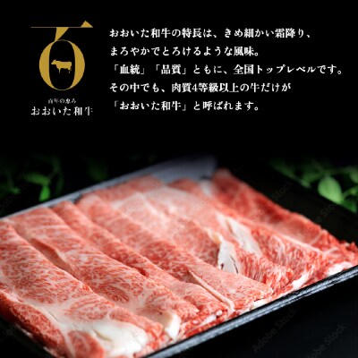 【ふるさと納税】大分県産 A4/A5等級 おおいた和牛 ロース スライス 500g すき焼き