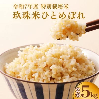 【ふるさと納税】玖珠米 令和7年産 ひとめぼれ 玄米 5kg 大分県玖珠町 米 特別栽培米 特A