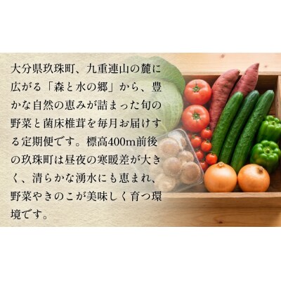 【ふるさと納税】3回定期便　玖珠の 旬野菜 ・ きのこ 6-10品 詰め合わせ