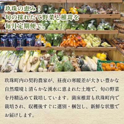 【ふるさと納税】6回定期便　玖珠の 旬野菜 ・ きのこ 6-10品 詰め合わせ