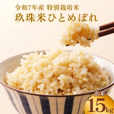 【ふるさと納税】玖珠米 令和7年産 ひとめぼれ 玄米 15kg 大分県玖珠町 米 特別栽培米 特A