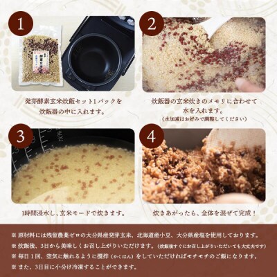 【定期便3回】 発芽酵素玄米炊飯セット 3合 (450g) 洗わずそのまま炊ける 無洗米 5袋 米