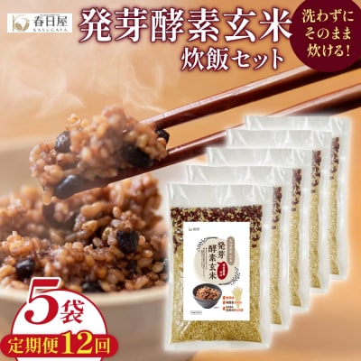 【定期便12回】 発芽酵素玄米炊飯セット 3合 (450g) 洗わずそのまま炊ける 無洗米 5袋 米