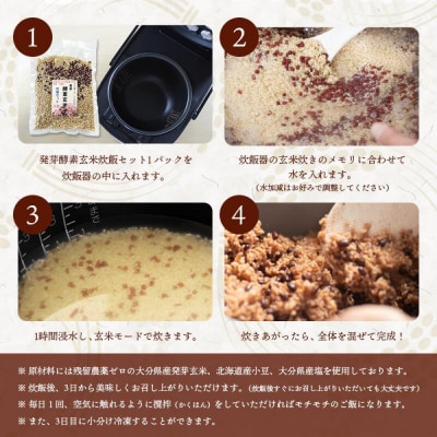 【定期便6回】 発芽酵素玄米炊飯セット 3合 (450g) 洗わずそのまま炊ける 無洗米 6袋 米