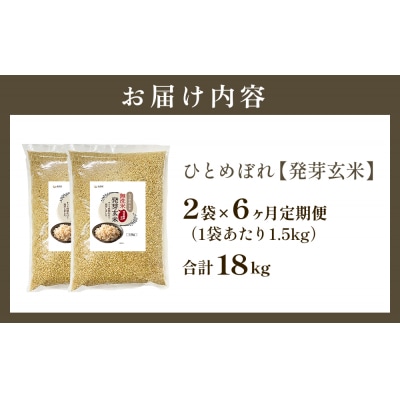 特A ひとめぼれ 米 残留農薬ゼロ 発芽玄米 1.5kg × 2袋 6ヶ月 定期便 無洗米