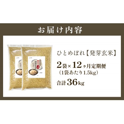 特A ひとめぼれ 米 残留農薬ゼロ 発芽玄米 1.5kg × 2袋 12ヶ月 定期便 無洗米