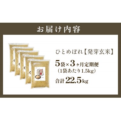 特A ひとめぼれ 米 残留農薬ゼロ 発芽玄米 1.5kg × 5袋 3ヶ月 毎月定期便 無洗米